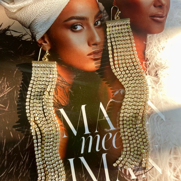 Fringe Rhinestone Earrings - Picture 3 of 4